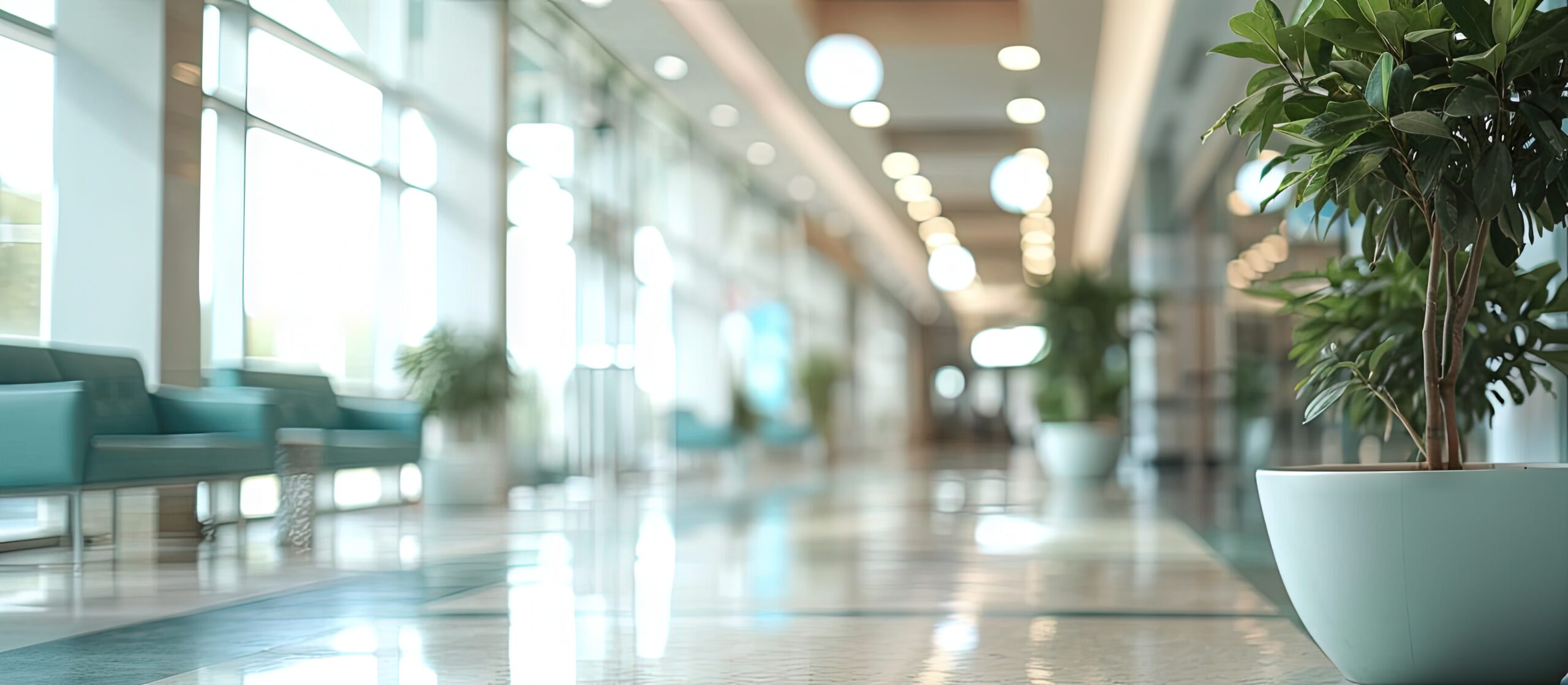 A bright and spacious hallway with large windows on the left side letting in natural light. The floor is polished and reflective, with potted plants placed throughout. The ceiling features round lights, and the hallway appears modern and clean.